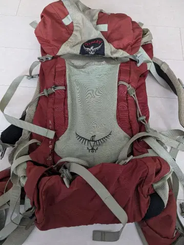 Osprey Kestrel 38 백팩