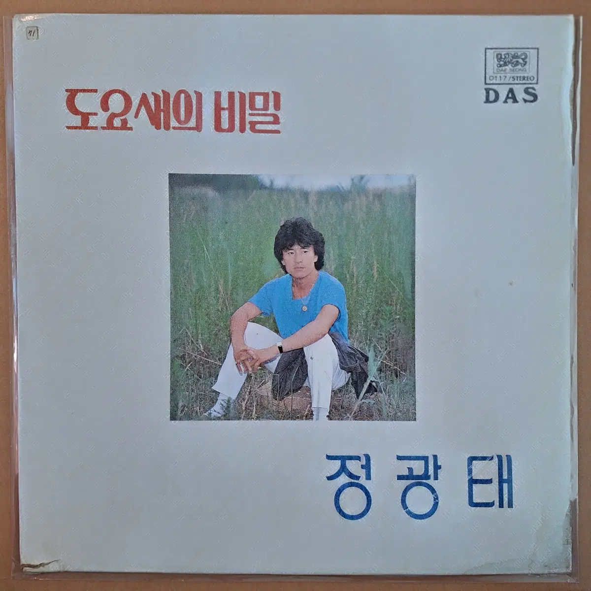 정광태 도요새의 비밀 LP