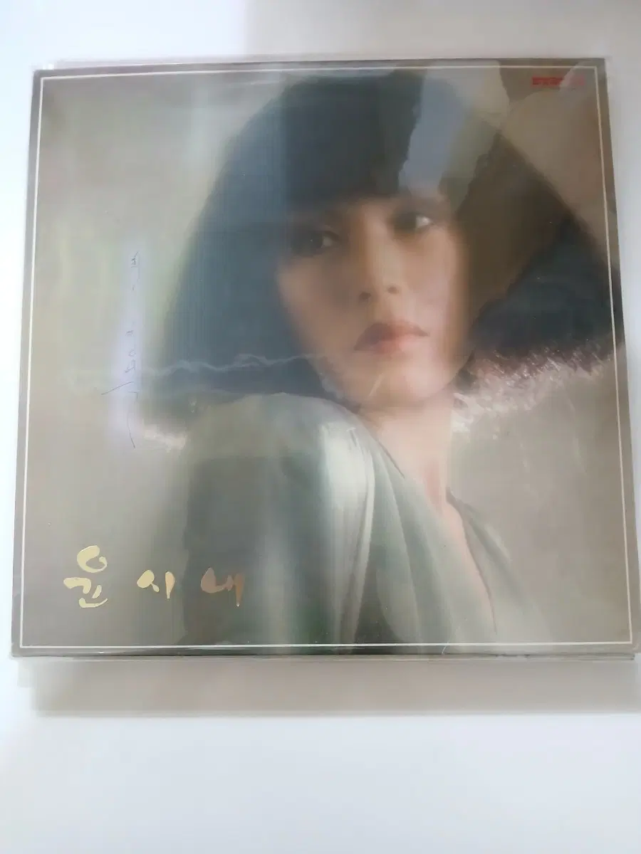 윤시내 .고목 LP.NM-/NM