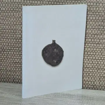 외국도서 Cornelia Parker Avoided Object 아트북