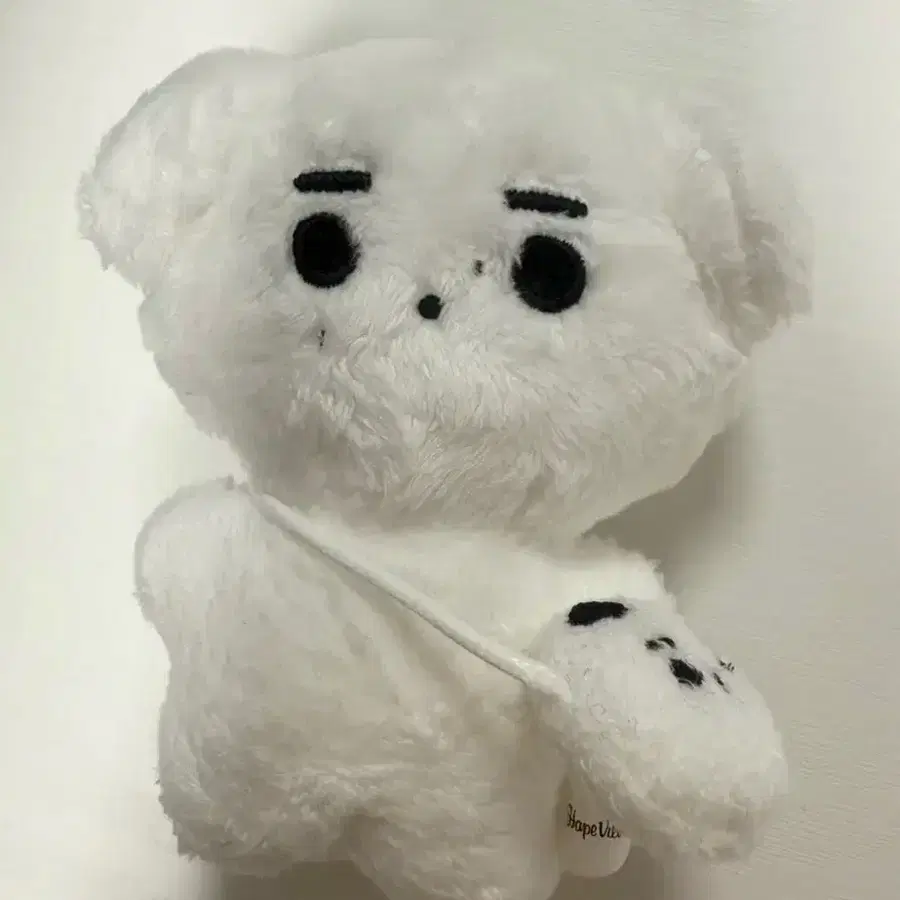 엔하이픈 성훈 훈댕이