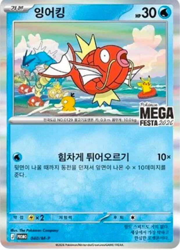 포켓몬카드 잉어킹 MEGA FESTA 2026와 카드 교환하실분