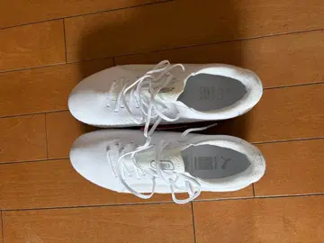 Puma 킹 얼티밋 FG/AG 25.0cm