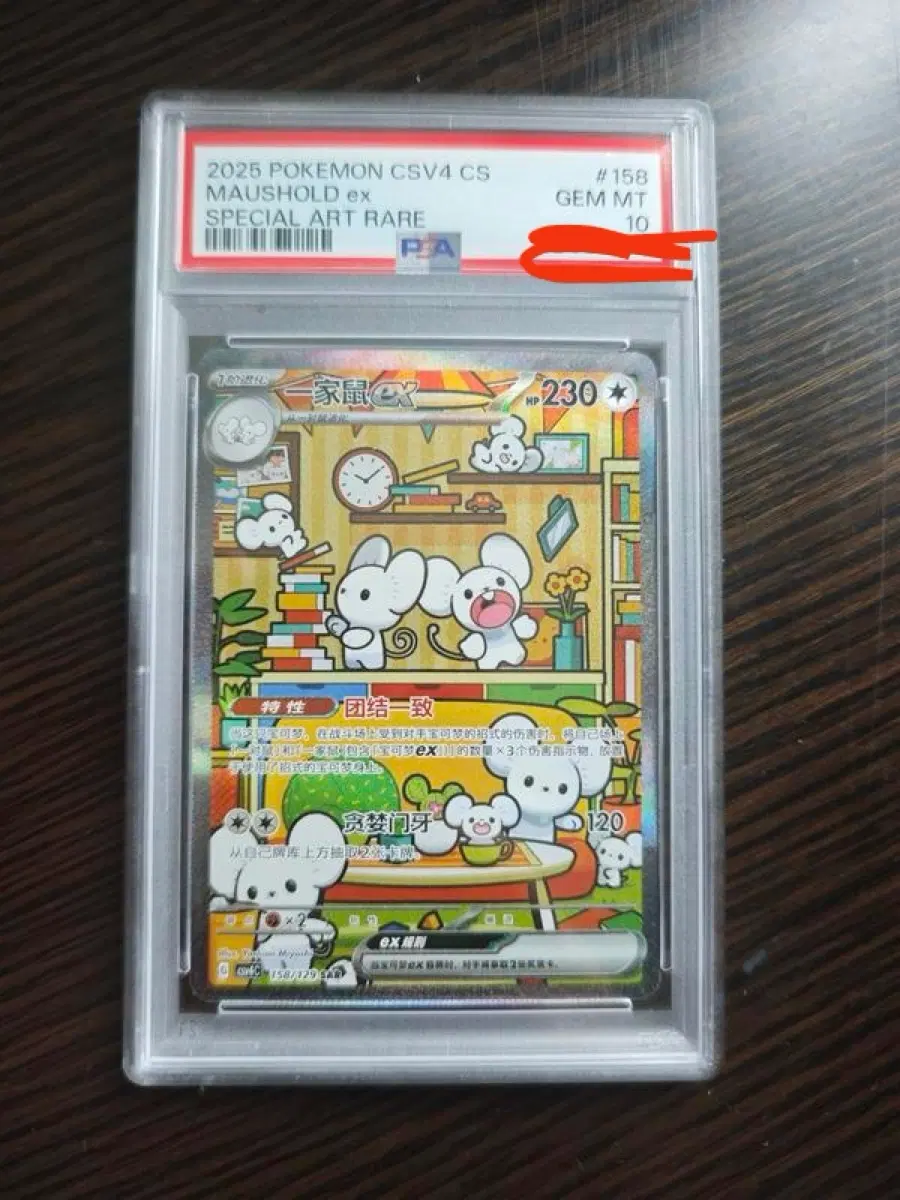 중판 CSV4 마우스홀드 ex SAR PSA10 젬민트 완점 / 가족 테