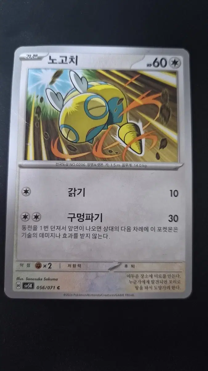 포켓몬 카드 노고치