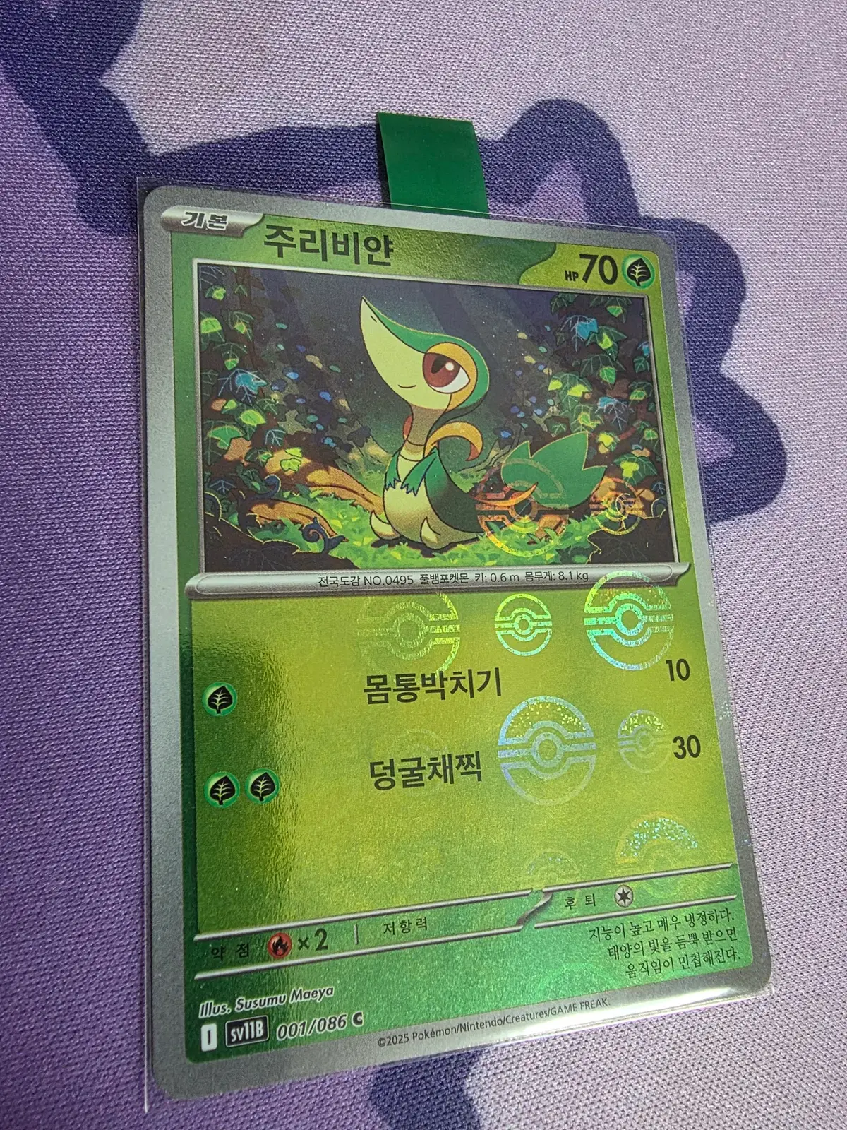 한국) 주리비얀 몬스터볼 홀로 [sv11b 001/086]