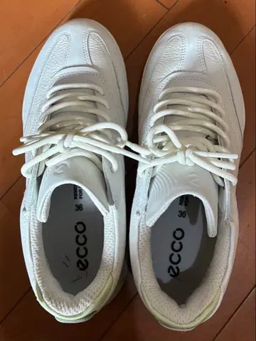 ECCO 여성용 골프화 화이트 36