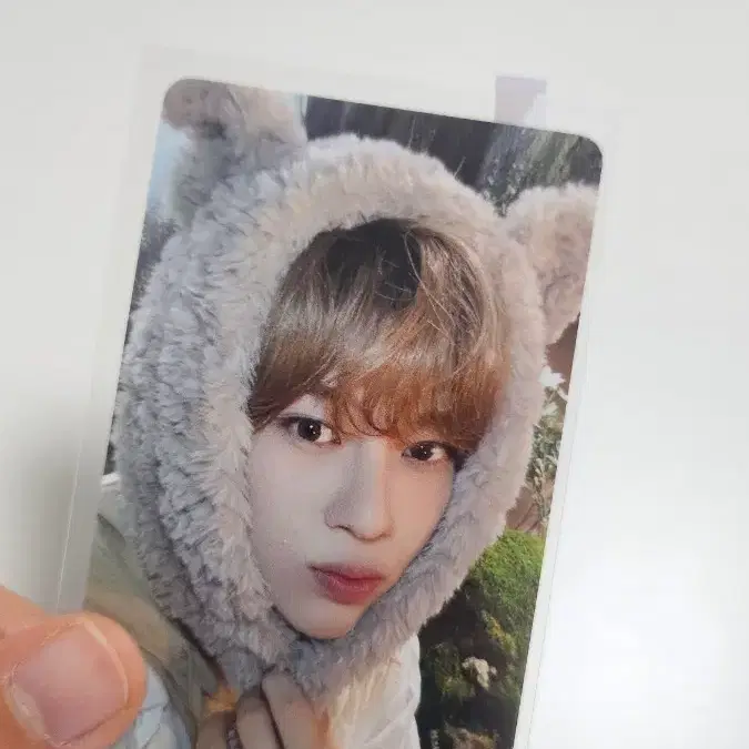엔시티위시 시온 위시북 포카 양도