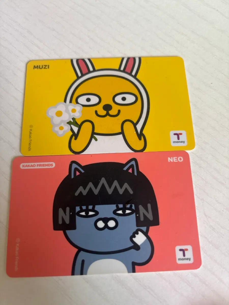 카카오프렌즈 티머니 카드