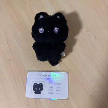 nctwish 리쿠 마스터 봉제 인형