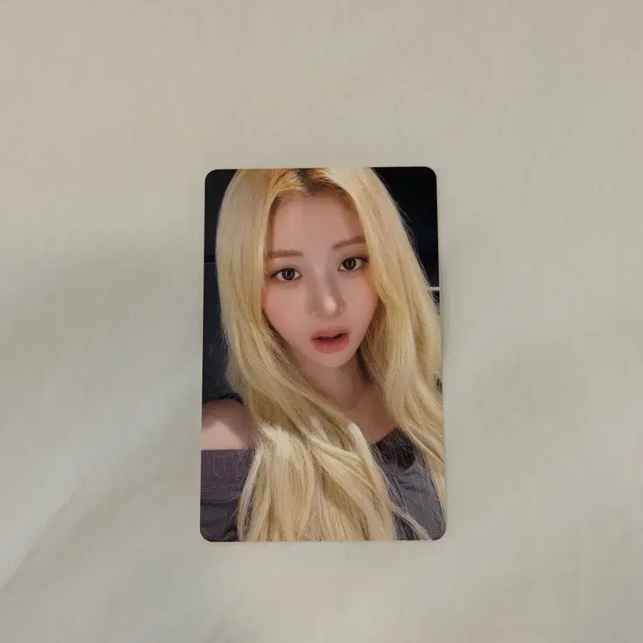 르세라핌 투어 퓨어플로우 윤진 포카