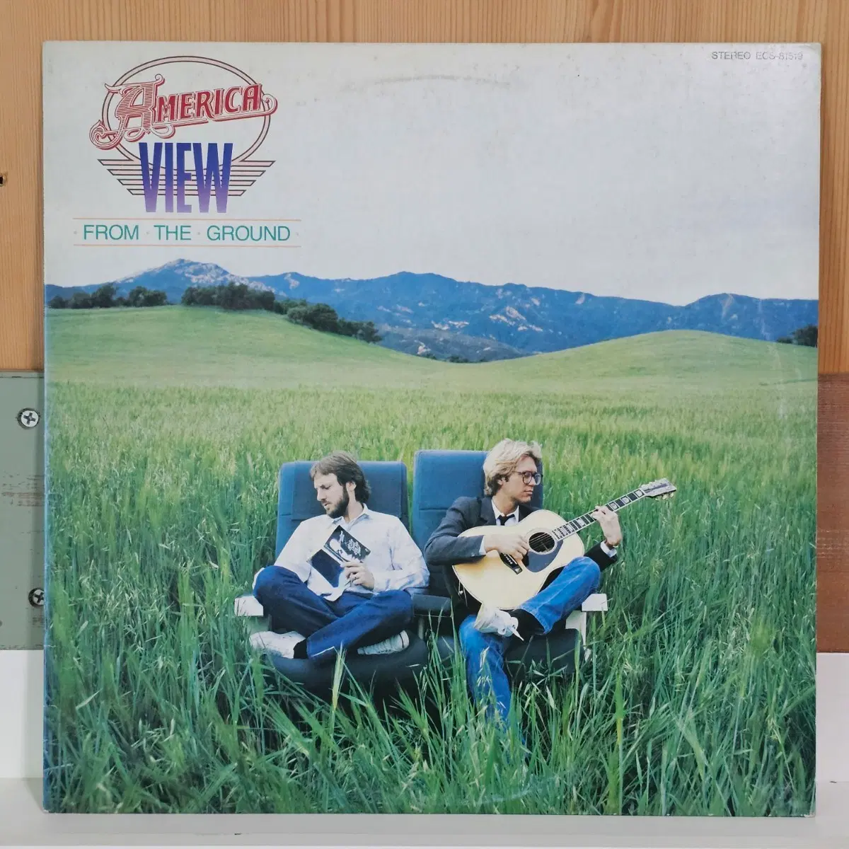 America - View From The Ground LP