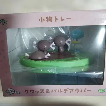 포켓몬 길 잃은 꾸왁스 잡화 트레이 꾸왁스 팔데아 우파