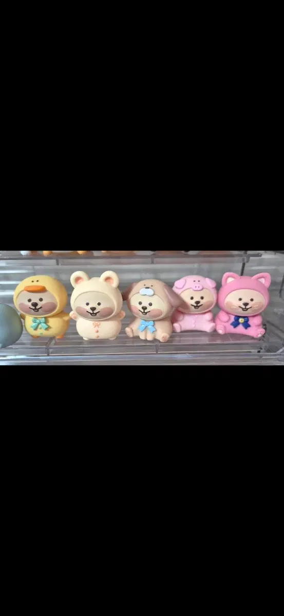 꽃카 쿼카 피규어 5종