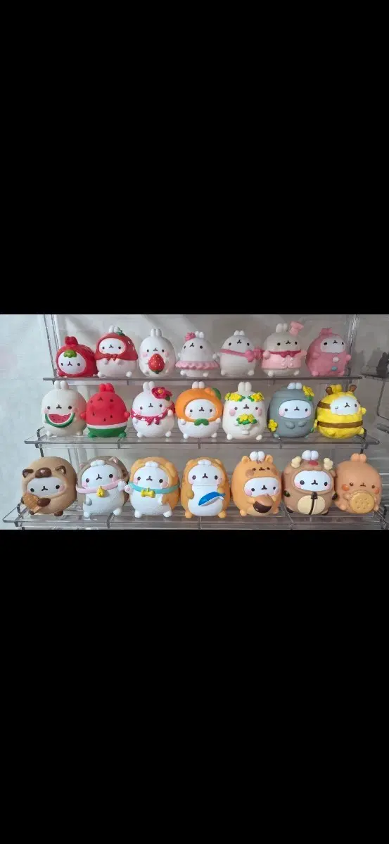 몰랑이 토끼 피규어 개당 판매