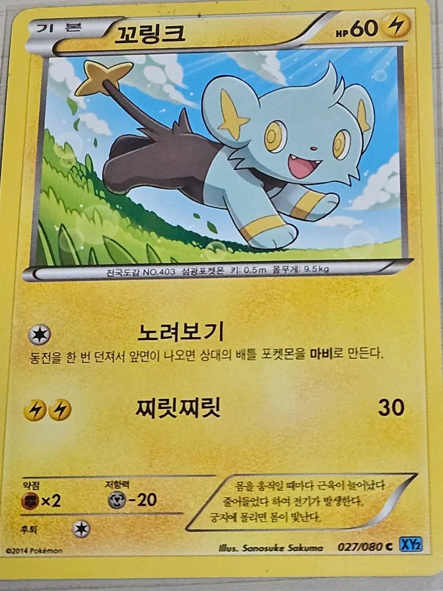 포켓몬카드 꼬링크
