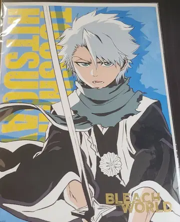 BLEACH 히즈카야 토시로 포스터