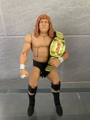 WWE 엘리트 시리즈 테리 고디 피규어 UWF 벨트 포함