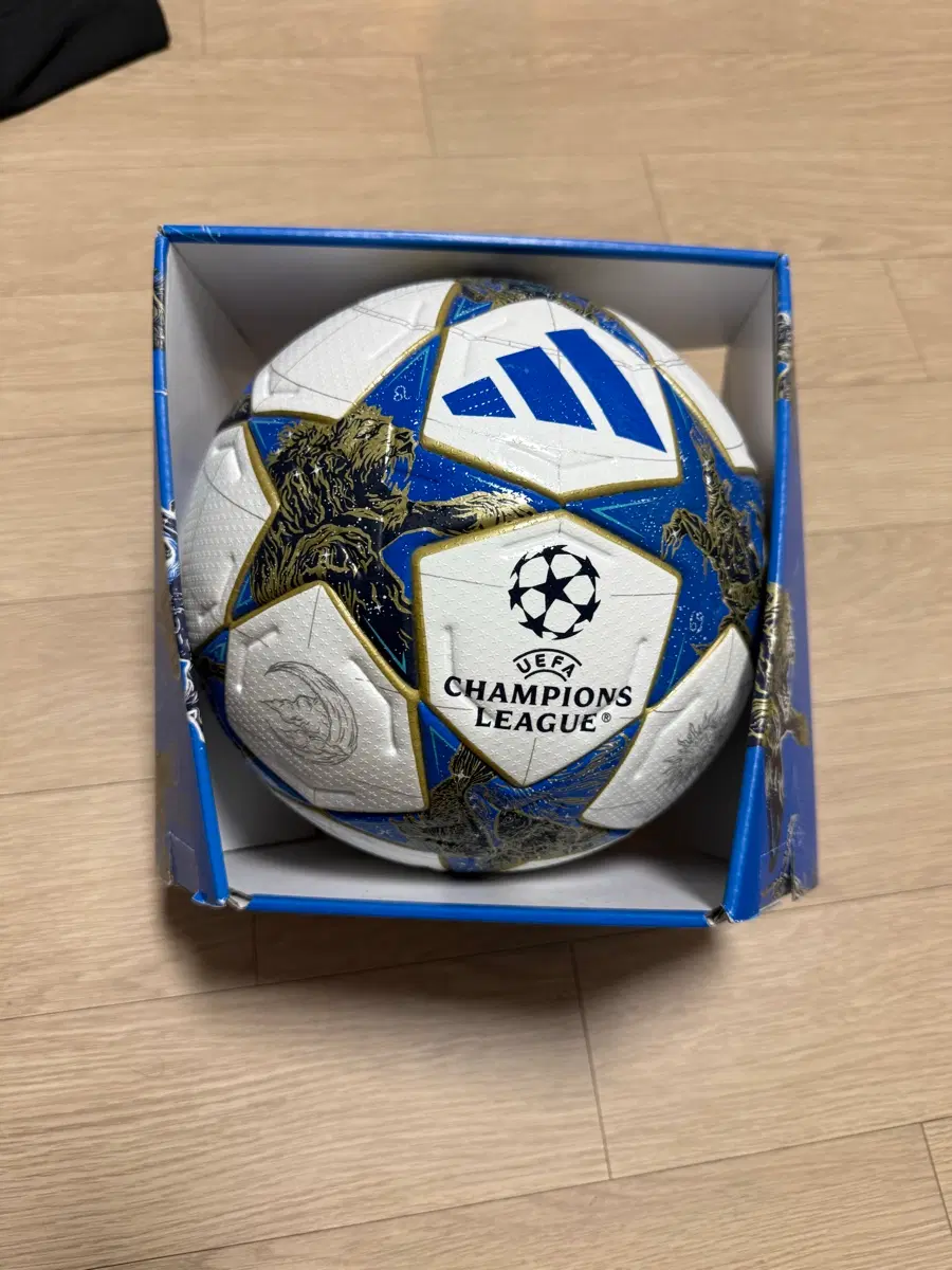 UEFA 챔피언스리그 공인구 25-26 정품