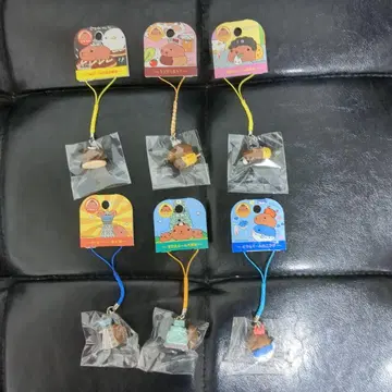 카피바라 씨 매달기 스트랩 오사카 한정판 6점 일괄