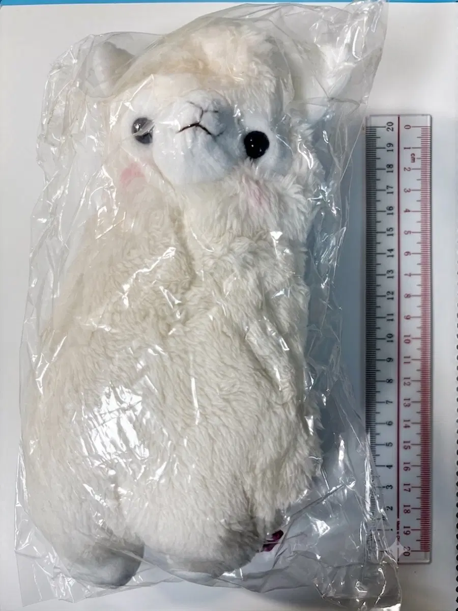 알파카 봉제인형 필통