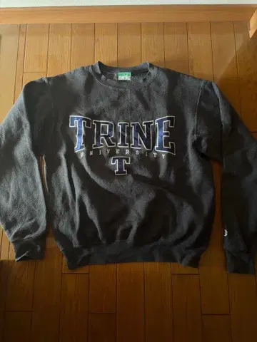 Champion TRINE UNIVERSITY 맨투맨 S 아메카지