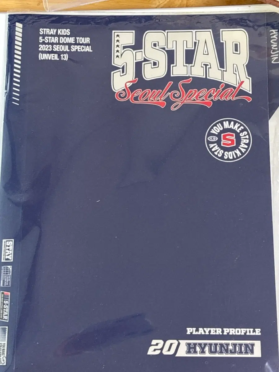스트레이키즈 5-STAR 돔투어 2023 스페셜 현진 플레이어 프로필