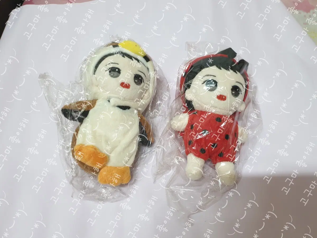 (미개봉) 박우진 인형 오구진 무당이+짹짹이 15cm+특전/AB6IX