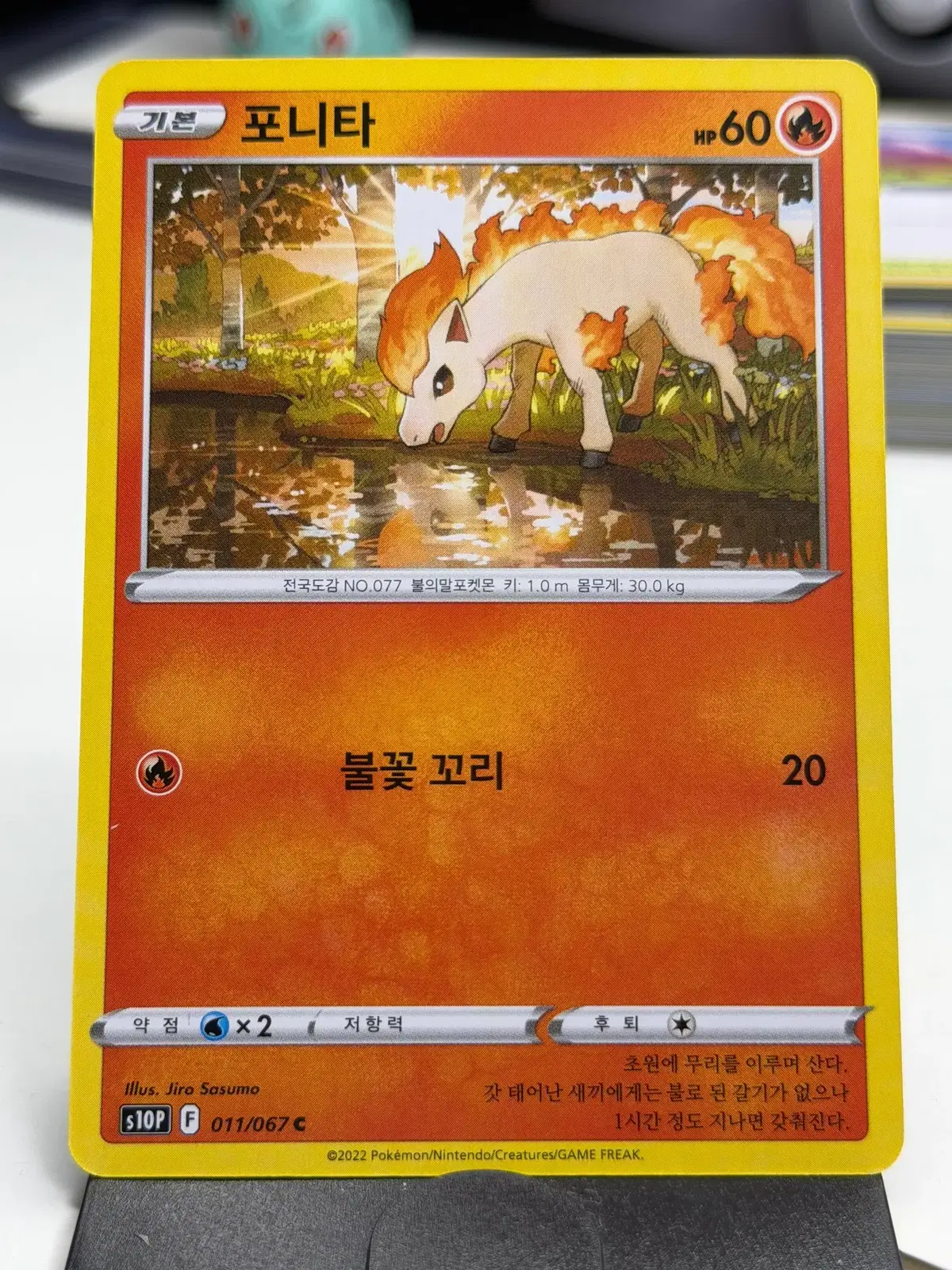 포니타 s10P 011/067 C (400원)