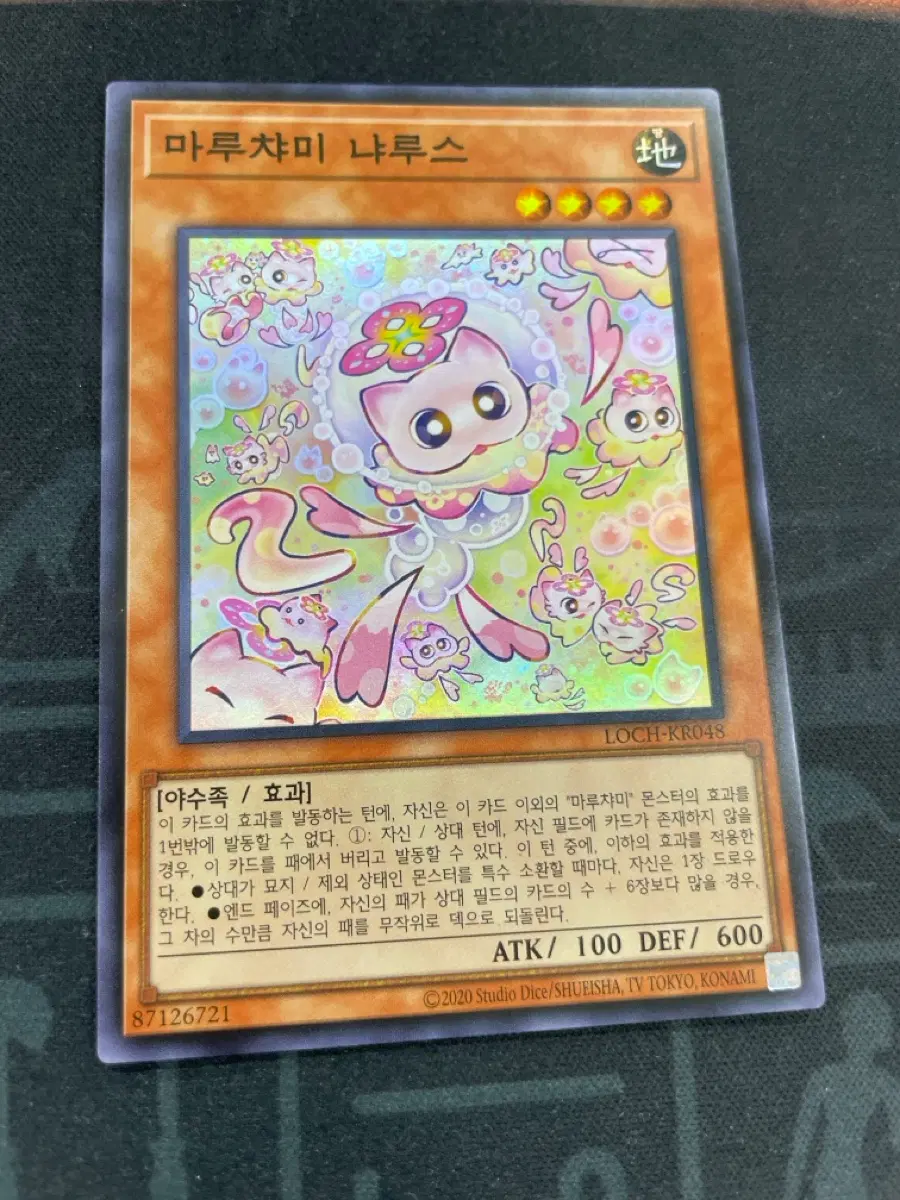 마루챠미 냐루스 슈레