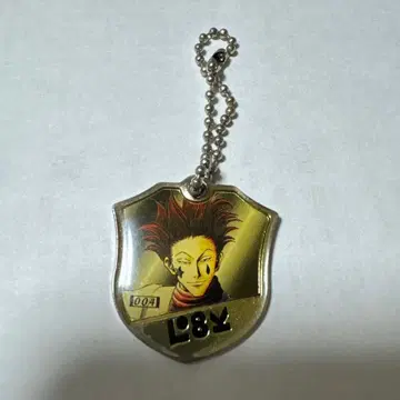 구 HUNTER x HUNTER 히소카 비주얼 메탈 구 헌터헌터