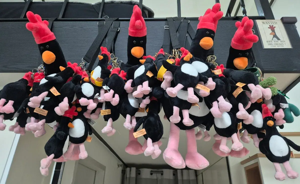 맥그로우 인형 일괄 팝니다 (작은 것 37개 가방4개)