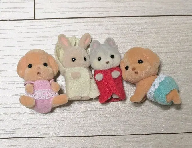 일괄) 실바니안 아기 신생아 직립 앉은 쌍둥이 푸들 허스키 밀크토끼