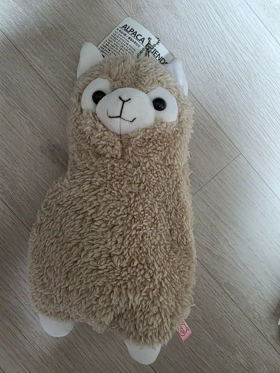 알파카 필통