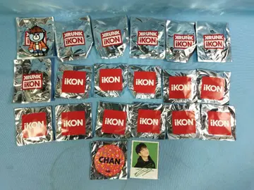 iKON KRUNK 아이콘 굿즈 20개 묶음 캔뱃지 키링