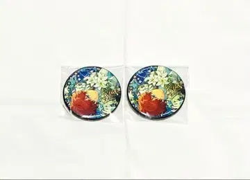 앙상블 스타즈 앙스타 중국 캔뱃지 아마기 히이로