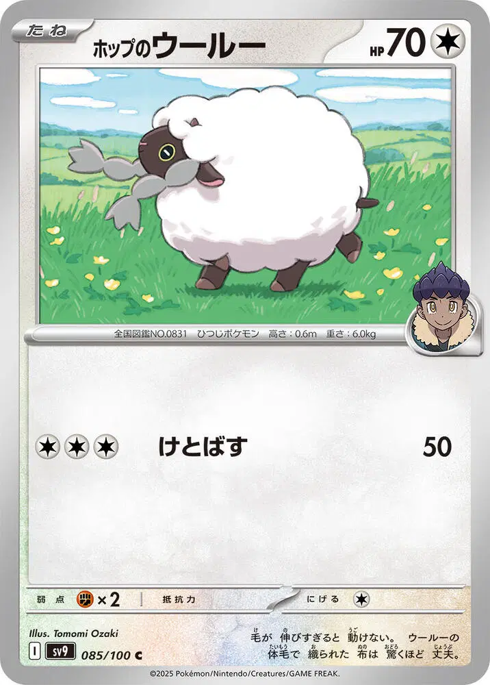 일판 호브의 우르 sv9 085/100 C (300원)