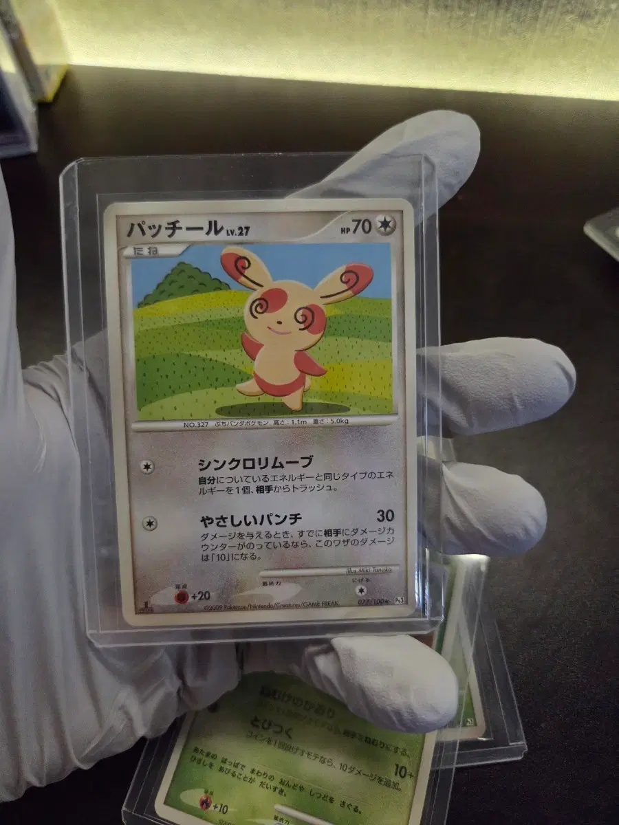 TCG 프론티어의 고동 2009 얼루기 초판
