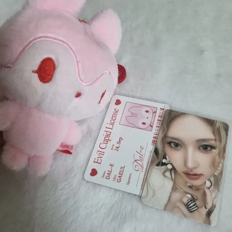 아이브 가을 인형+포카 일괄 판매