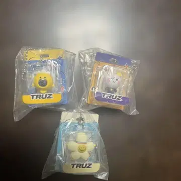 TRUZ 블리스터 참 컬렉션