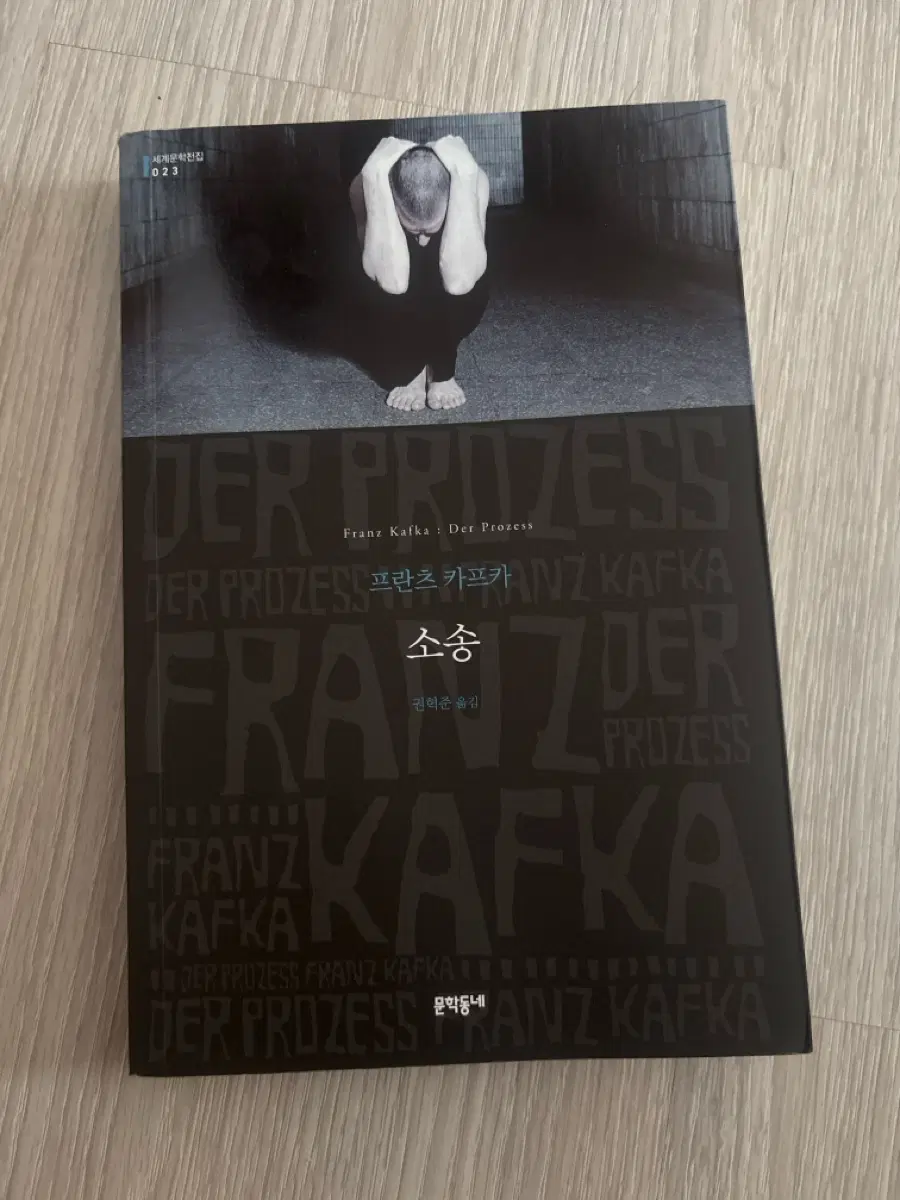 프란츠 카프카 소송 문학동네 세계문학전집
