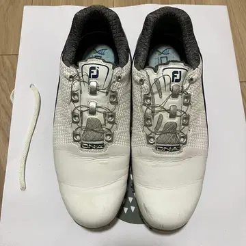 FootJoy DNA 골프화 Boa 25.5cm