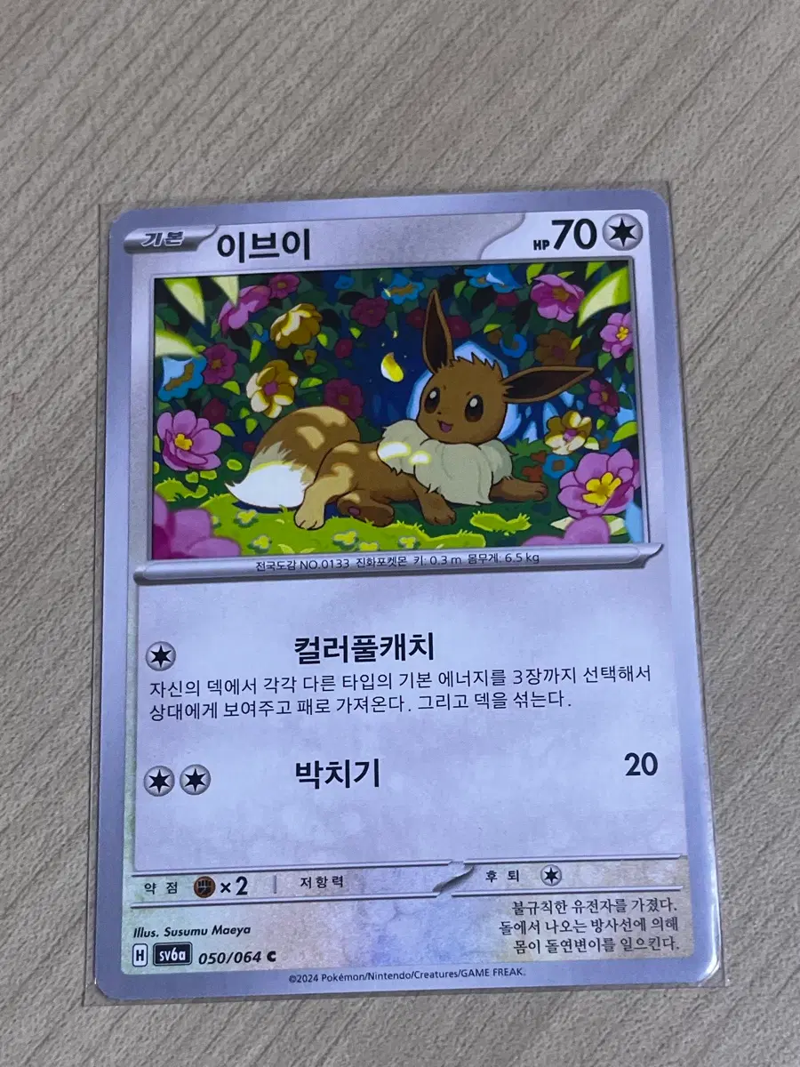 이브이 포켓몬카드 050/064