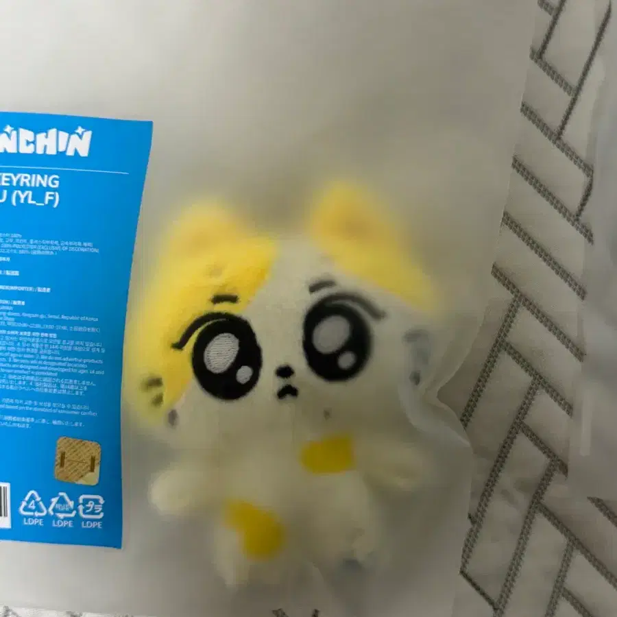 Enhypen Enchin Jungwon Wonchu Face Cushion | Bunjang Global