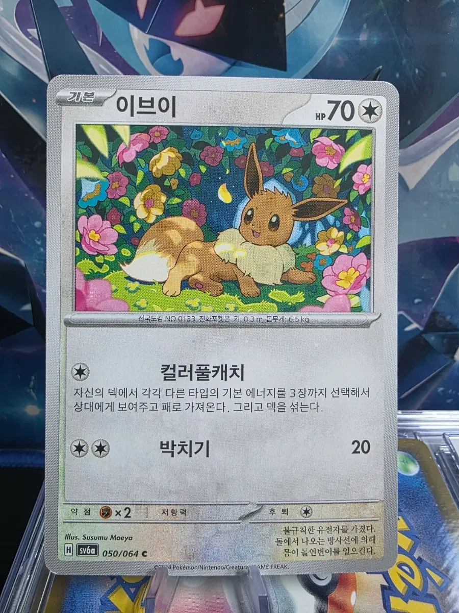 포켓몬카드 이브이 050/064
