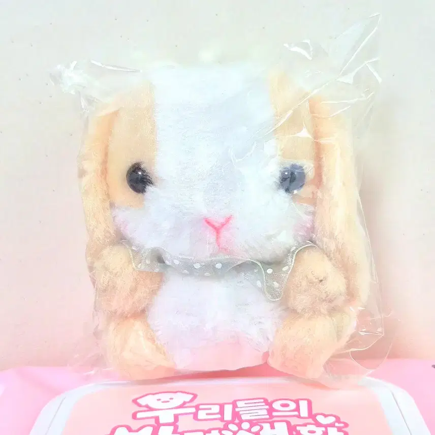 アミューズ アミューズ ポテウサベージュピンクコロッピーロッピー人形キーリング