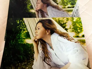 쿠라키 마이 리락쿠마 브로마이드