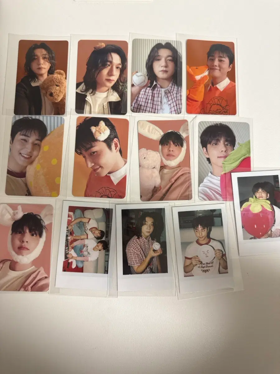 데이식스 포카