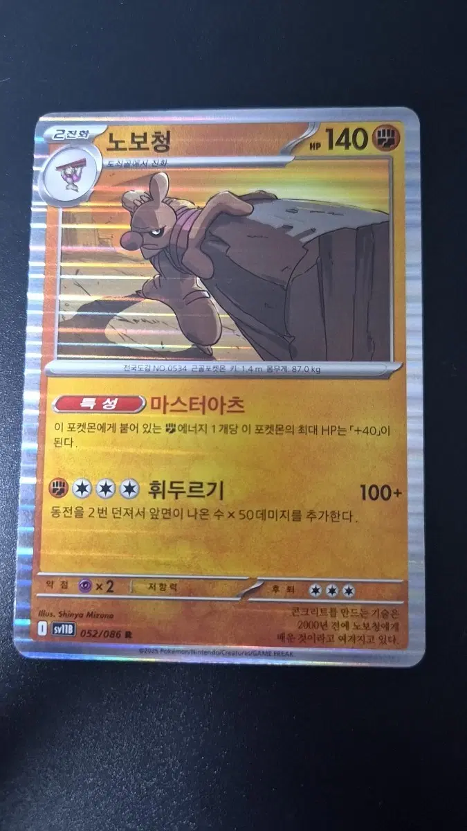 포켓몬 카드 노보청