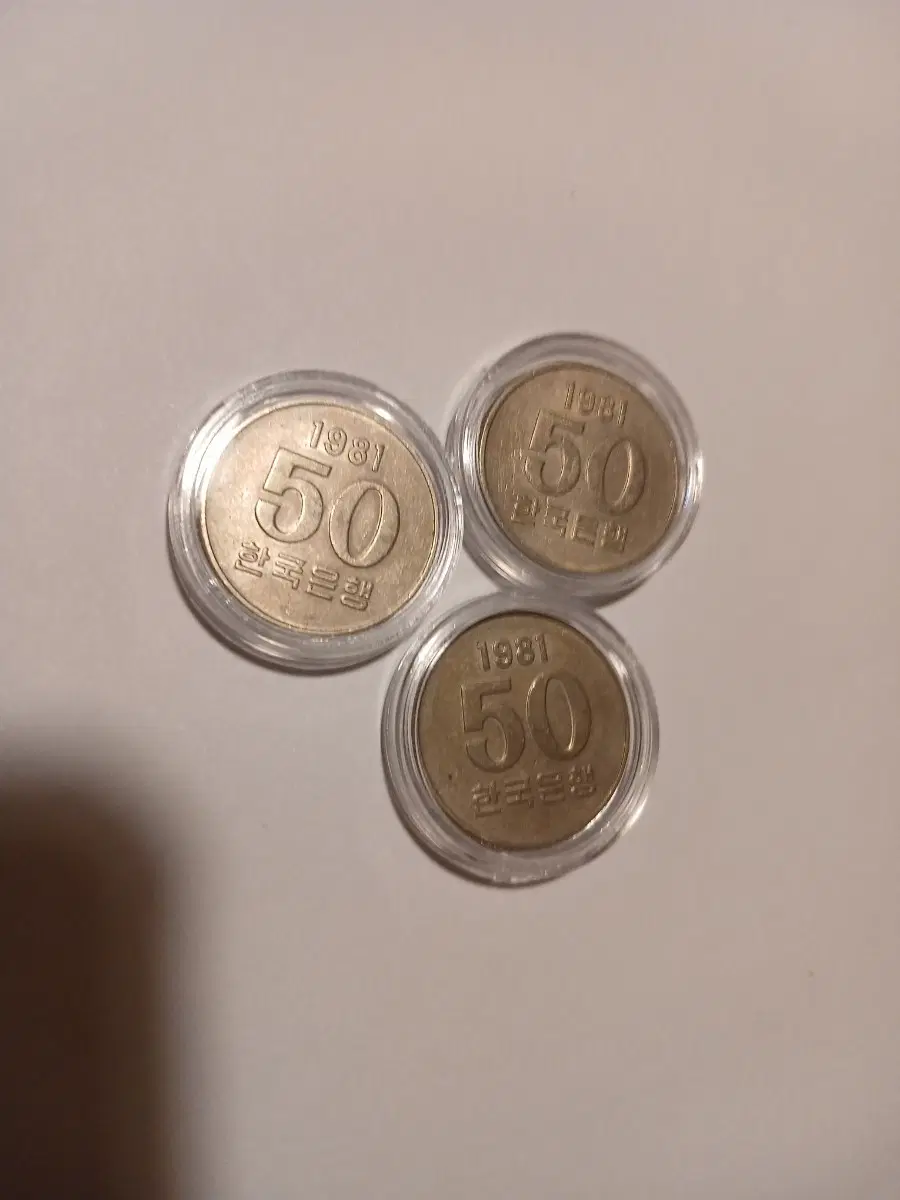 1981년 50원 3개